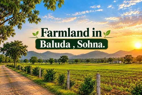Farm Land In Baluda, Sohna