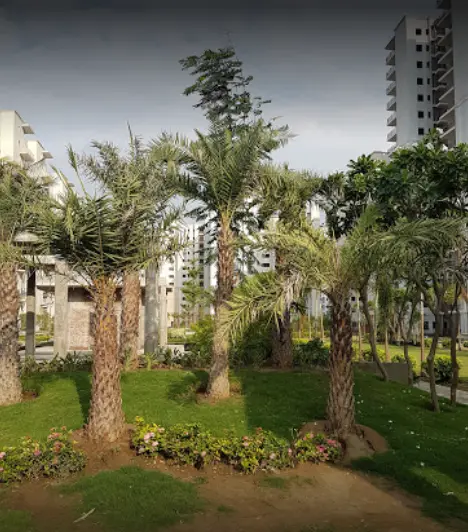 3BHK 2Baths Flat/Apartment for Sale