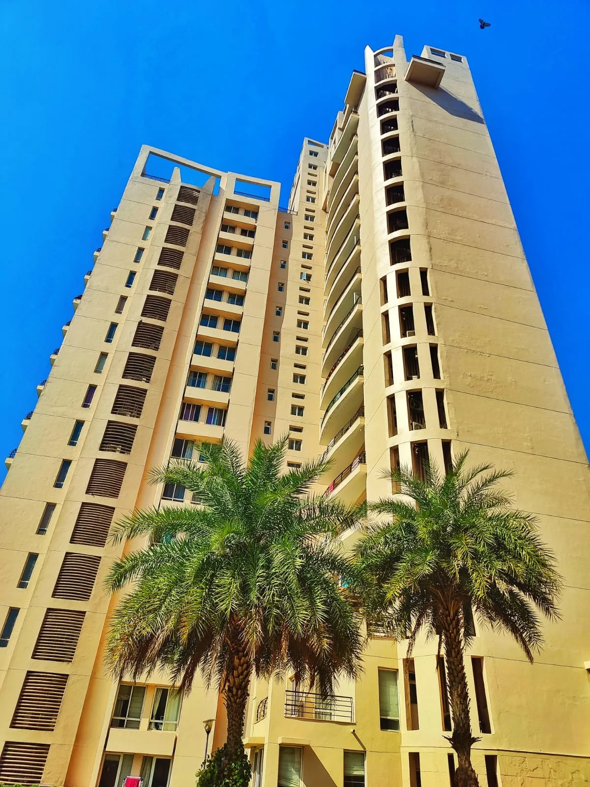 Flats for Rent in Unitech Escape Gurgaon